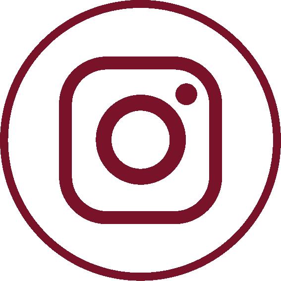 Icon Instagram rot